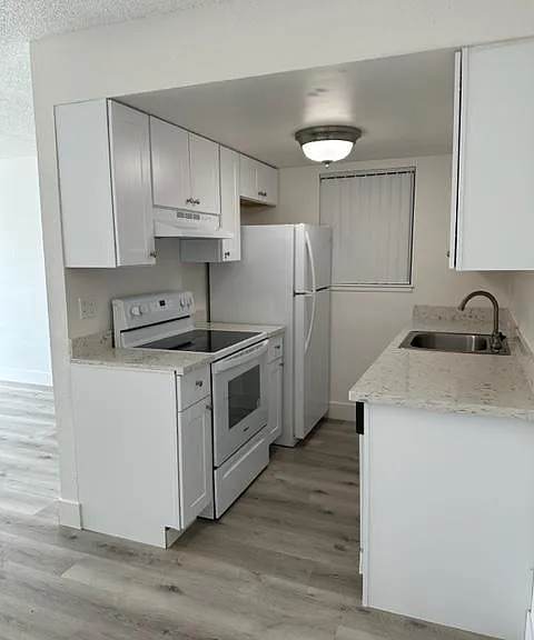 The Palms Apartments — Photo 48