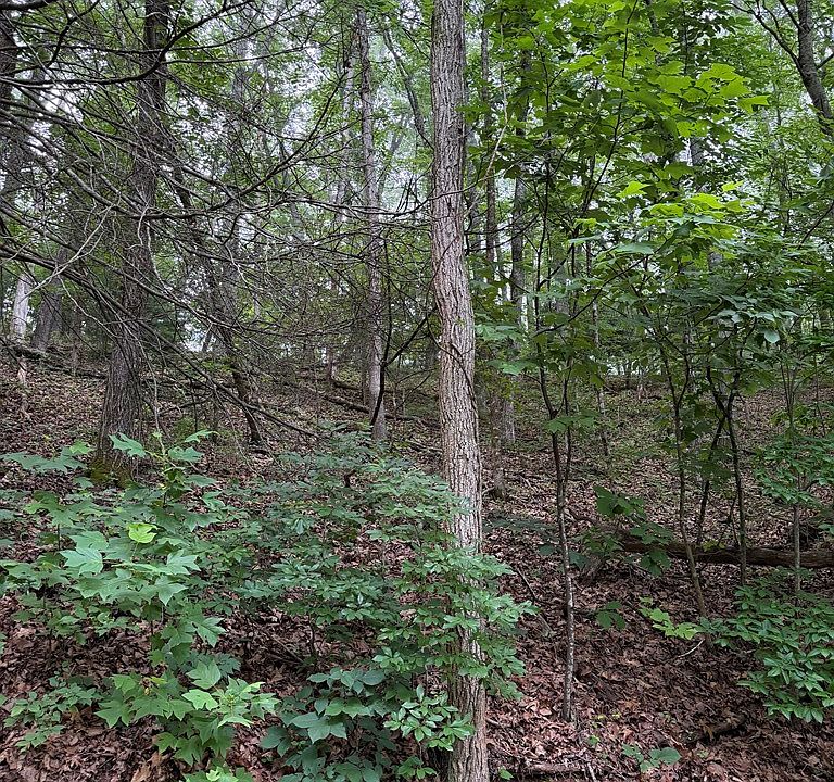 2nd image of 40 Winding Way Dr
