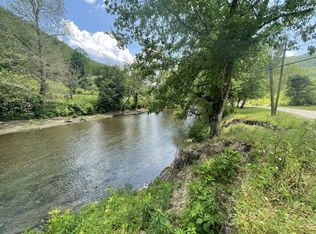 307 Brown Ln, Seth, WV 25181