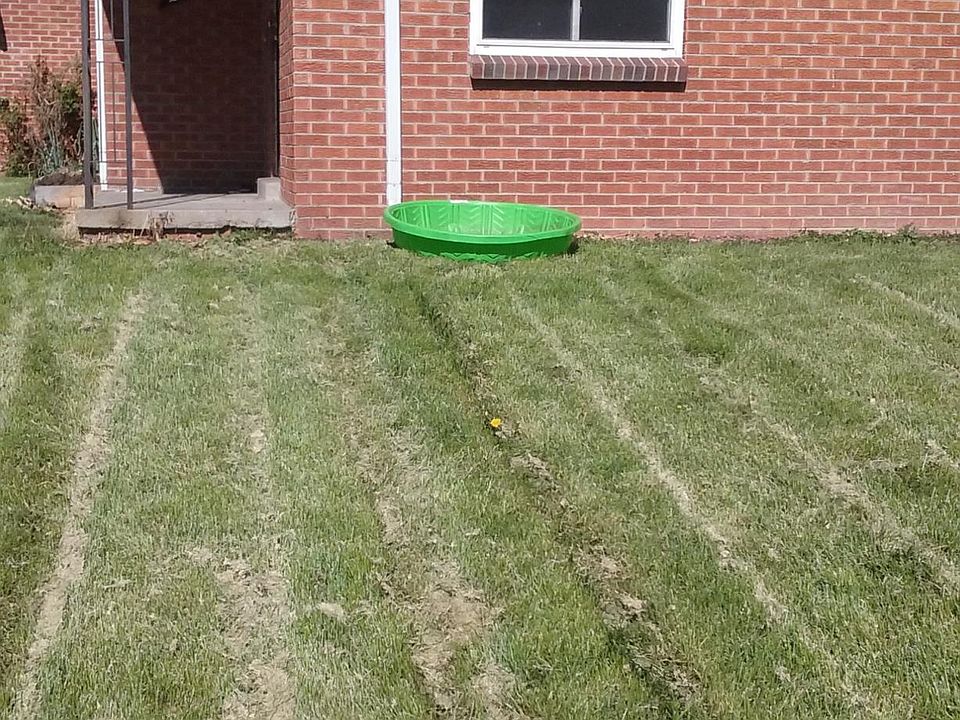 Front Yard