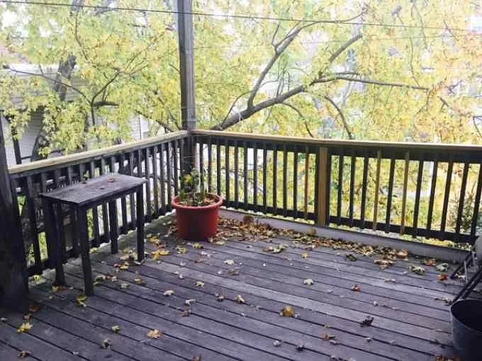 209 Hamilton St #4R — Photo 3