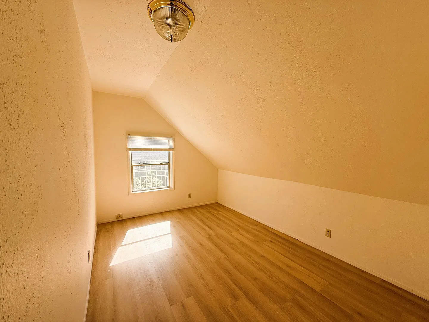 901 Fell St — Photo 3