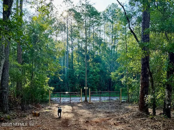 10535 FLIKKEMA AVE Avenue, Hastings, FL 32145