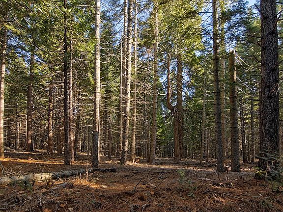 2nd image of 680 Sugar Pine Rd