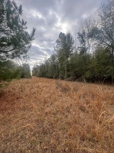 7930 Broken Oak Dr, Sneads, FL, 32460