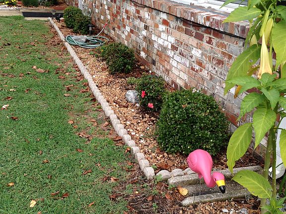 Front yard  seen from side