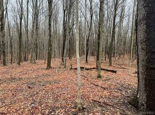 10100 S Hill Rd #3, Boston, NY 14025