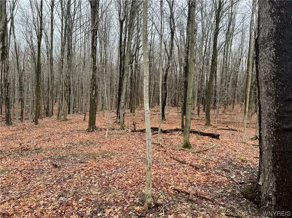 10100 S Hill Rd #3, Boston, NY 14025