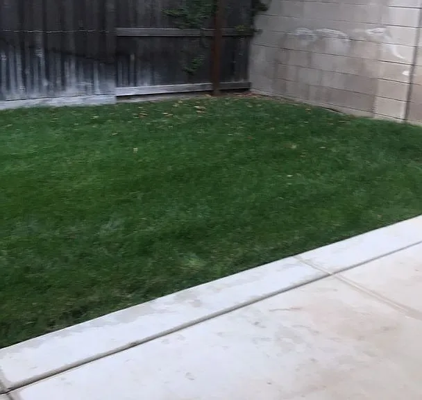 407 Jacobs Dr — Photo 17