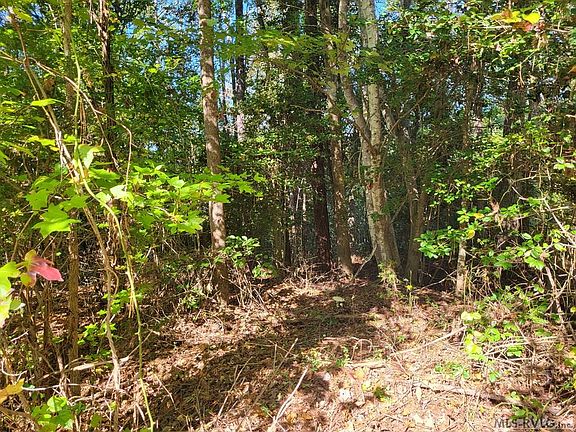 5th image of 19 Hundley Forest Dr
