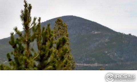 2nd image of 927 Mosquito Dr