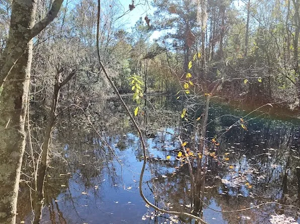 18147 SE 62nd Dr, Jasper, FL 32052