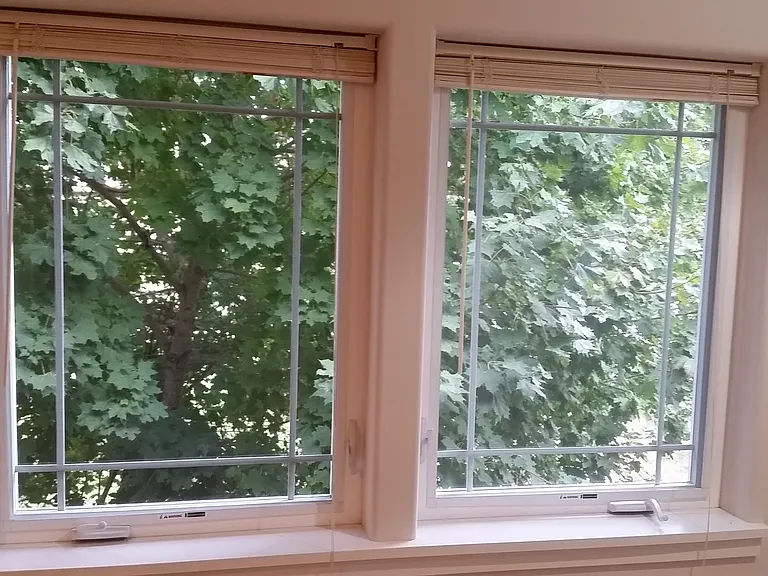1st bedroom natural lighting and trees!