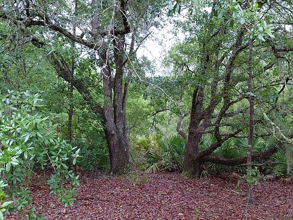 3rd image of 779 Ralph Davis Rd #1