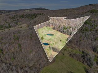 0 Knutsen Rd #29, Schenevus, NY 12155