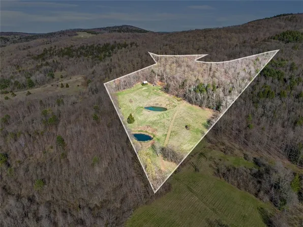 0 Knutsen Rd #29, Schenevus, NY 12155