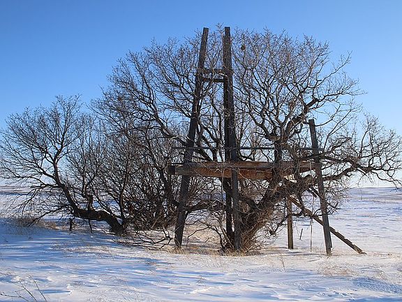 Winter view