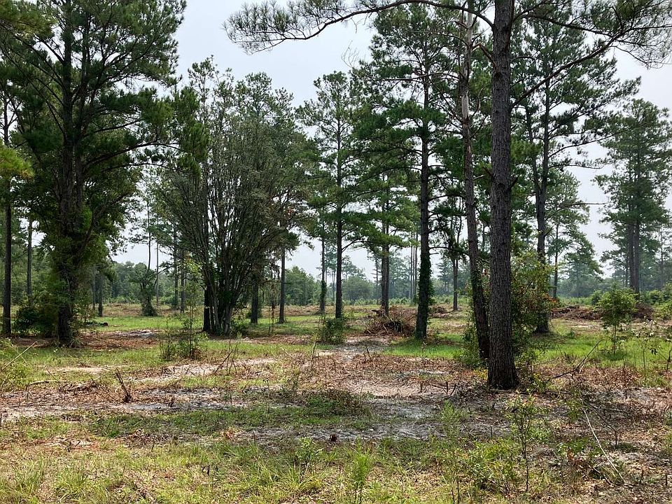 2nd image of 0 County Road 249