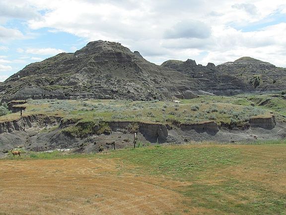 View from back of house