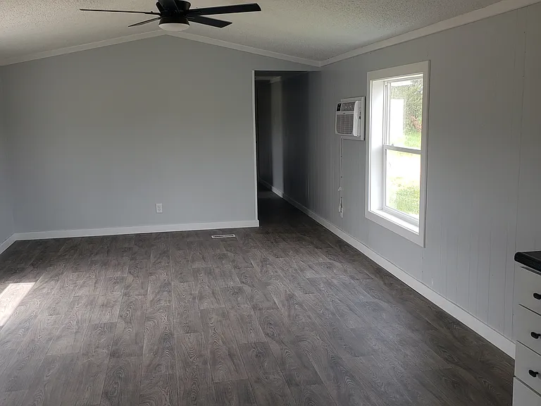 Living room, ceiling fan