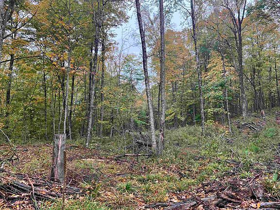 4th image of Glenmeal Rd