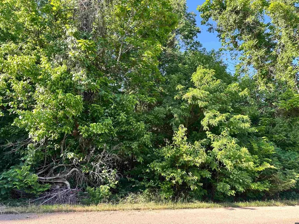 0 E Palestine Ave, Obion, TN 38240