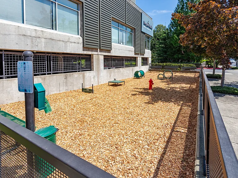 Saffron Apartments — Photo 19