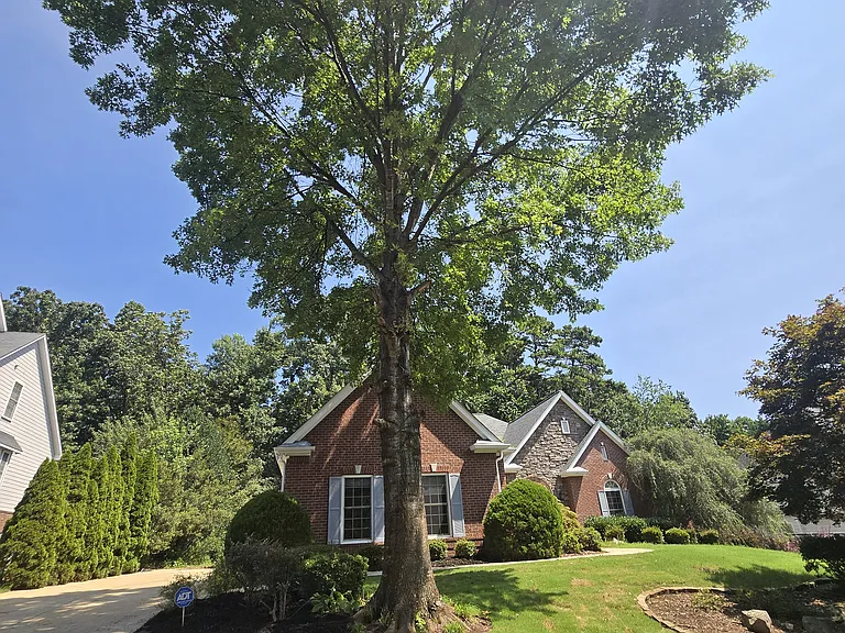 5935 Lake Oak Lndg — Photo 36