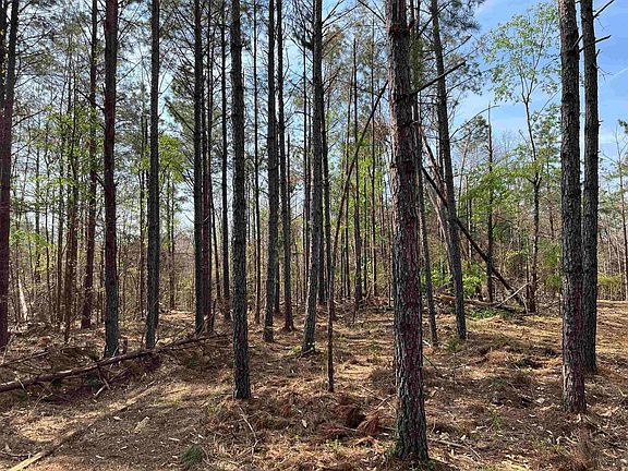 5th image of 2300 Joiner Rd