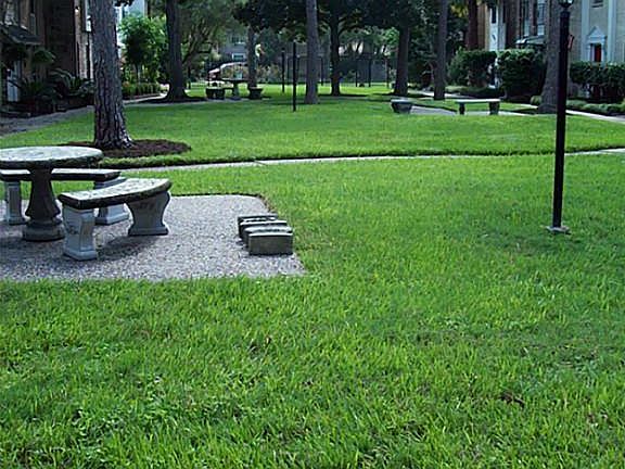 Courtyard in front of Townhome