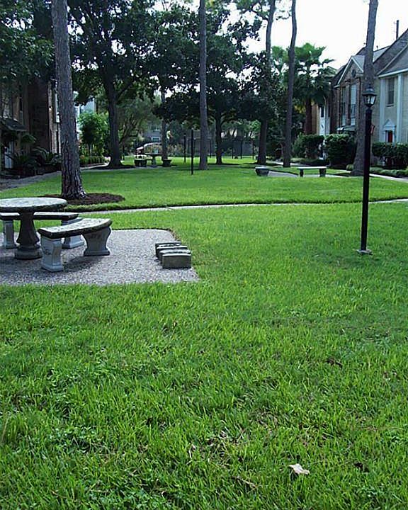 Courtyard in front of Townhome
