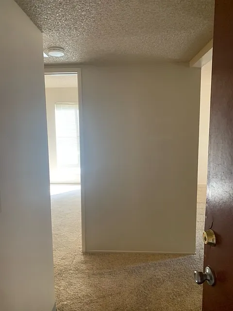 1 bed, 600 sqft, $1,595 — Photo 3