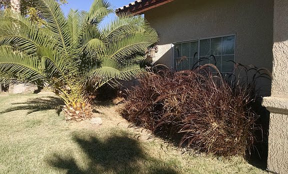 2nd image of 6320 W Tropical Pkwy