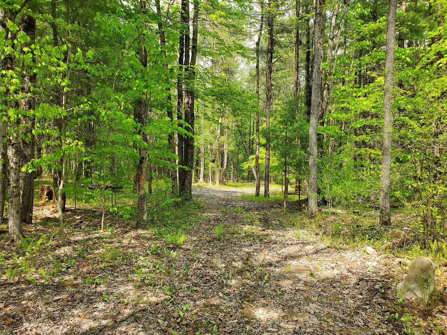 0 Stone Hill Rd 1, Williamstown, NY 13493 MLS 11221738 Zillow