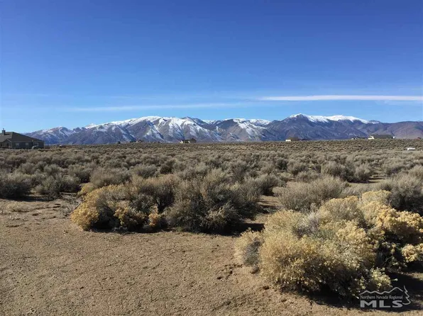 66 Canary Ct, Smith, NV 89430