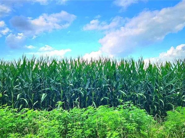 11543 Vernon Rd, Pleasanton, KS 66075