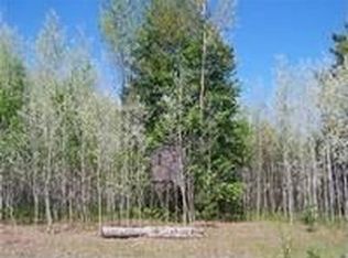 14000 Potter Rd, Bear Lake, MI 49614