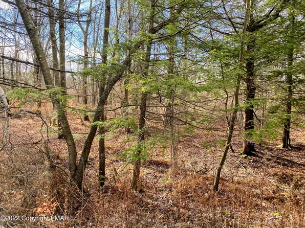 13 Driftwood Dr, Blakeslee, PA 18610