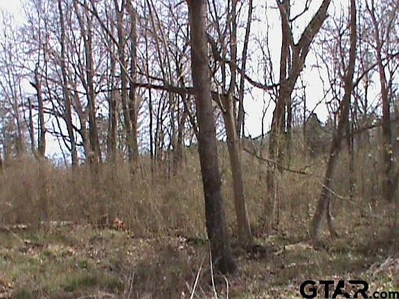 4th image of 382 Tbd Cr 382