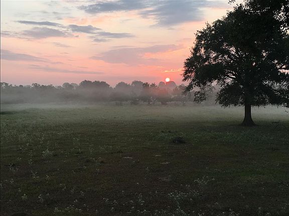 Sunrise over the foggy pond is very peaceful.