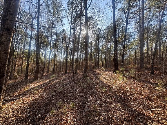 4th image of 704 Timberbrook Trl