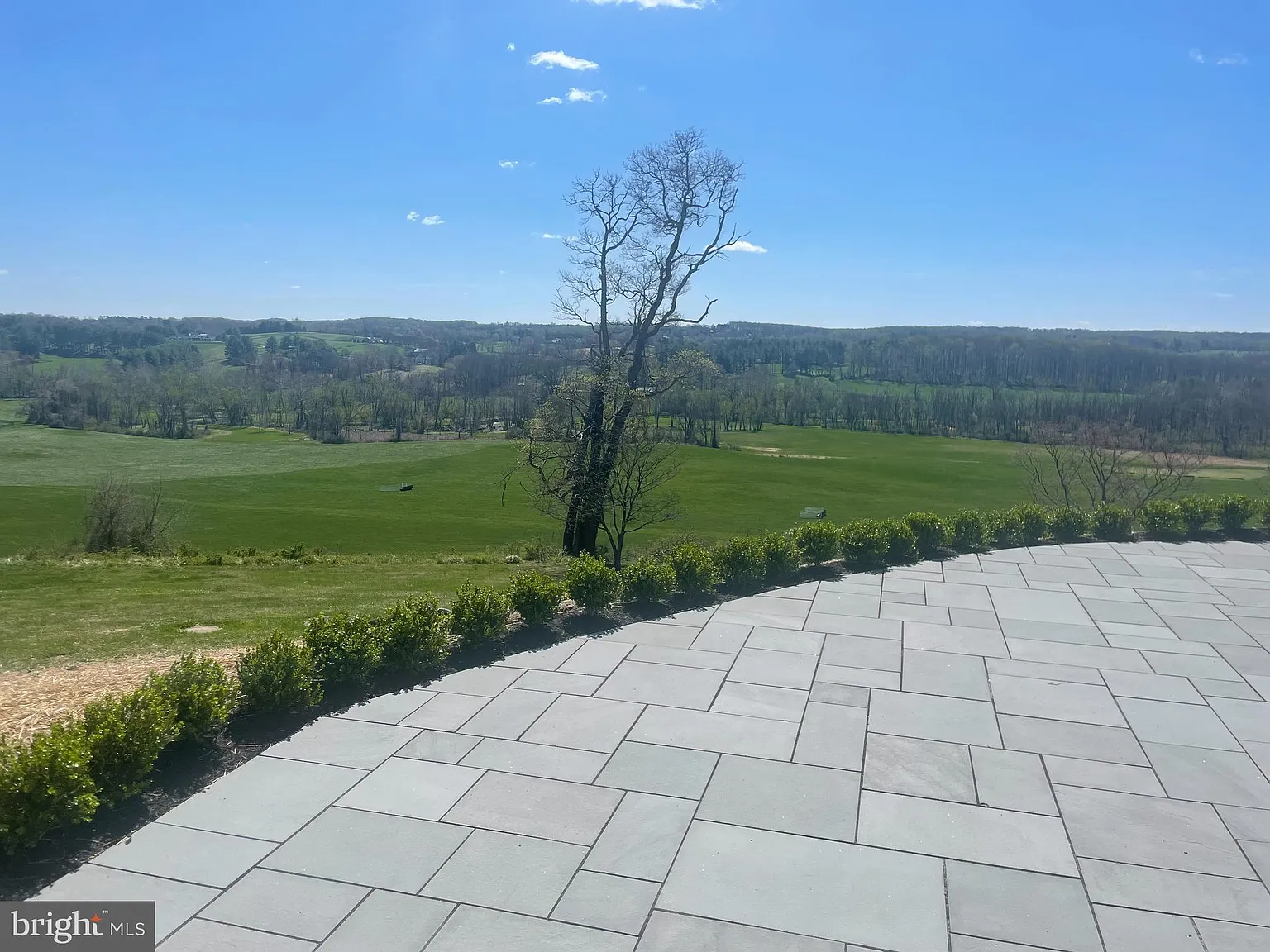 5 bed, 5.0 bath, 5498 sqft, $10,000 — Photo 3