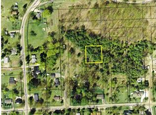 Larch Street, Boyne City, MI 49712