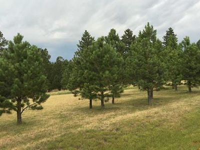 23731 Pine Haven Dr, Rapid City, SD, 57702
