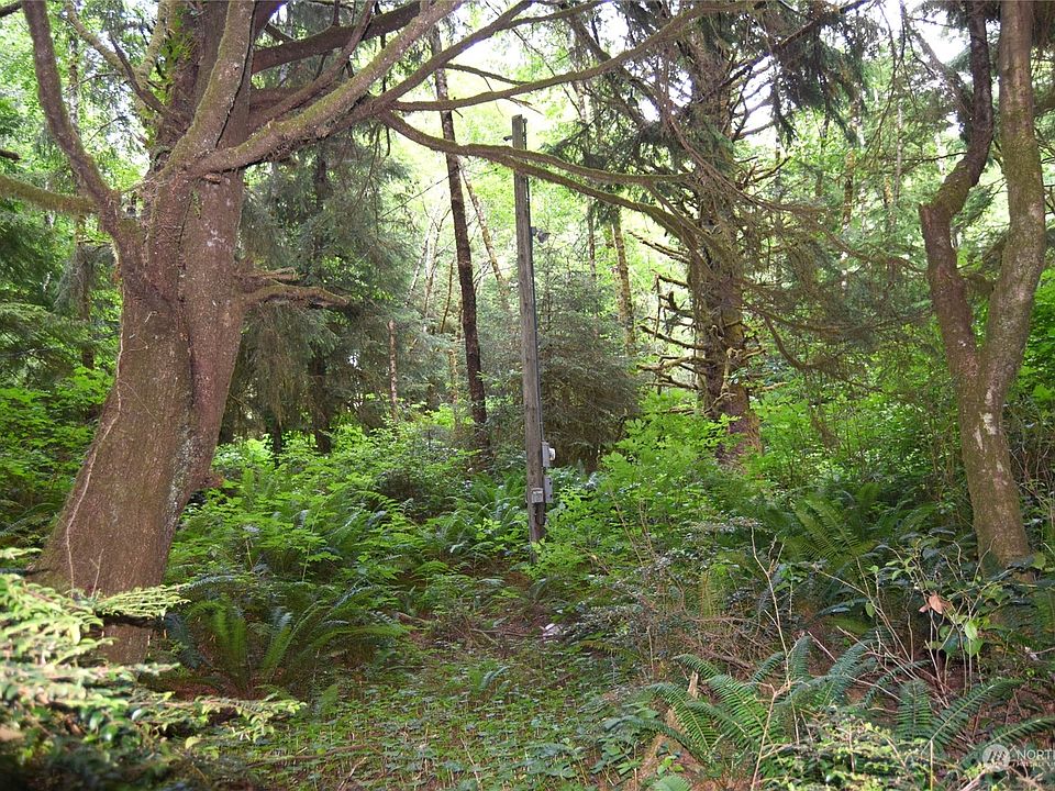 43 Ocean View Drive N, Taholah, WA 98587 MLS 1999638 Zillow
