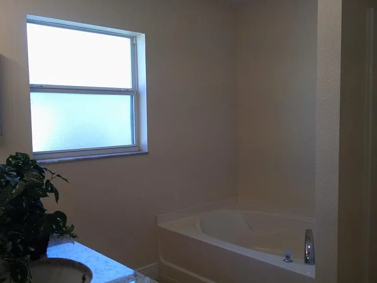 Master Bath with the Shower as well as the Garden Tub