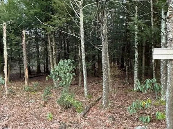 171 Route 390, Cresco, PA 18326