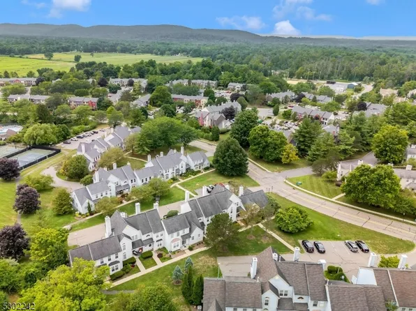 3 Ruffed Grouse, Hackettstown, NJ 07840