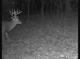 Round Lake Rd, Big Rapids, MI 49307