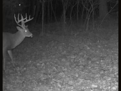 Round Lake Rd, Big Rapids, MI, 49307